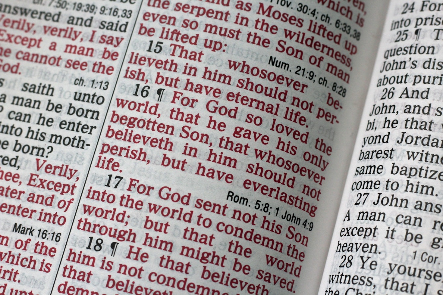 Why the New Holy Bible is Central to Believers